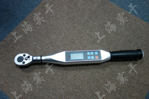 SGSX100N.mŤ�ذ���